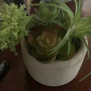 Meet your Posher, Anabel